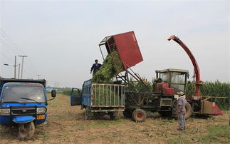 科技兴农新引擎 陕西农业机械化管理局信息网的智能服务与农机发展