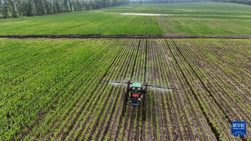 黑土地上的夏日农耕图 铁牛奔腾绘丰年